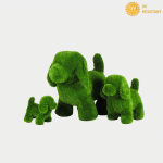 Dog 35