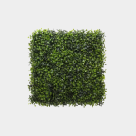 Boxwood Green
