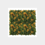 Green Orange