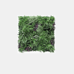 Wonderland Variegated 2