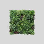 Wonderland Variegated