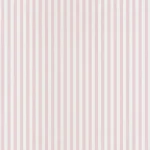 My Little World Rayure - Rose